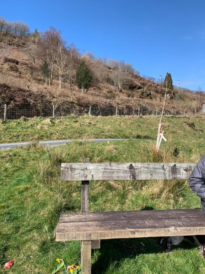 Snowdonia Rock Cottage - Cosy And Pet Friendly Пенриндеудрает Экстерьер фото