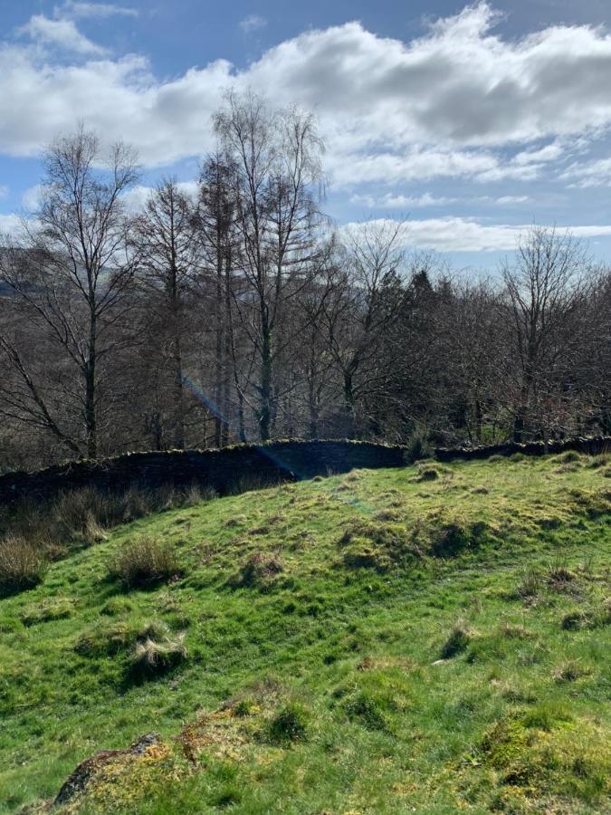 Snowdonia Rock Cottage - Cosy And Pet Friendly Пенриндеудрает Экстерьер фото